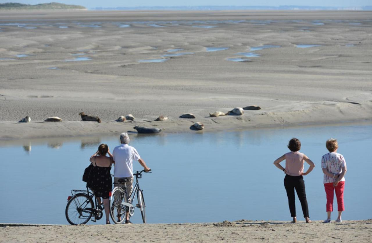 Surf Vue Mer 100M Plage Berck Экстерьер фото