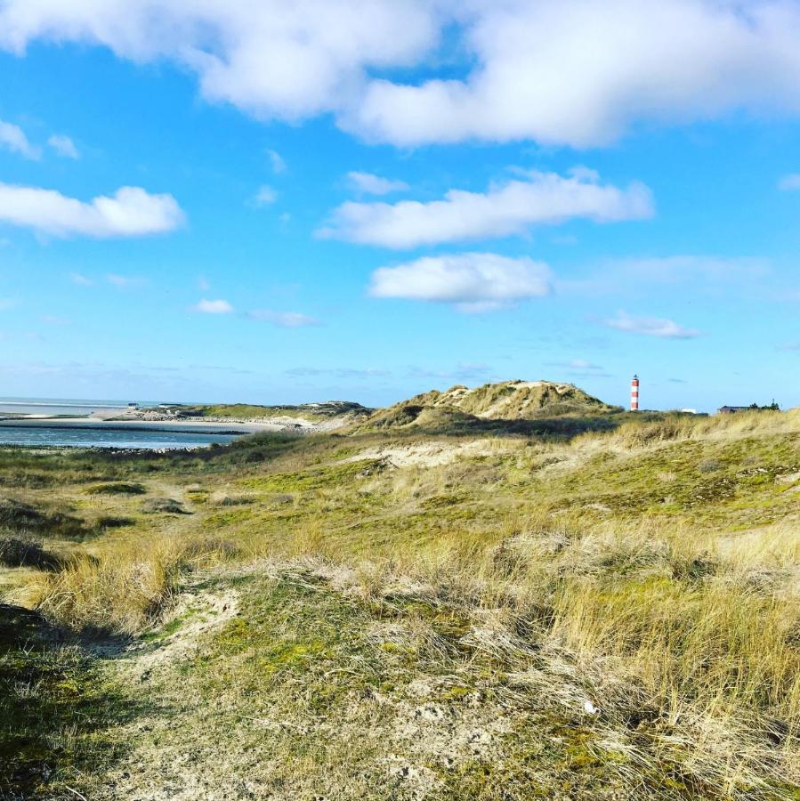 Surf Vue Mer 100M Plage Berck Экстерьер фото